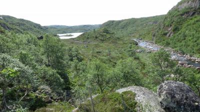 post-8648-0-48921300-1401130444_thumb.jp