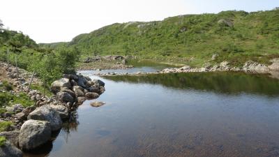 post-8648-0-67153000-1401130356_thumb.jp