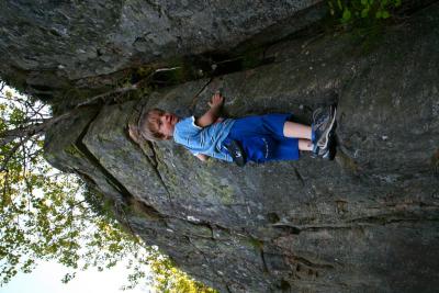 post-8771-0-33460000-1400608197_thumb.jp