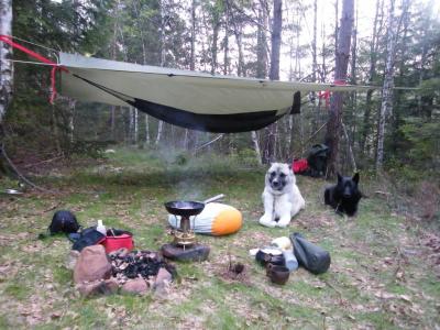 post-8832-0-91994000-1400454736_thumb.jp