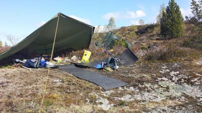 post-8967-0-44403800-1400097211_thumb.jp