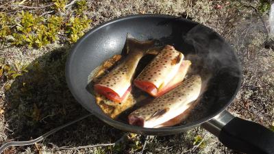 post-8967-0-76077000-1400097190_thumb.jp