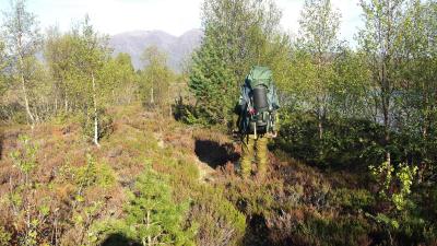 post-8967-0-77380100-1400055010_thumb.jp