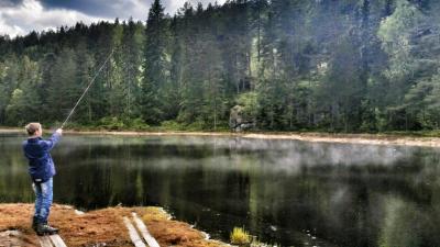 post-10088-0-15396700-1432630859_thumb.j