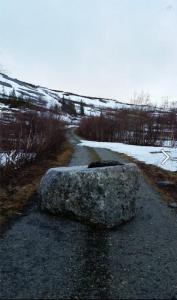 post-10401-0-07500200-1432999417_thumb.j