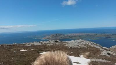 post-10401-0-09811800-1432032945_thumb.j