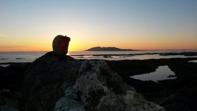 post-10401-0-20179500-1432033142_thumb.j