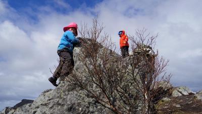 post-10401-0-68067300-1431609357_thumb.j