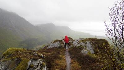 post-10401-0-68737100-1432387267_thumb.j