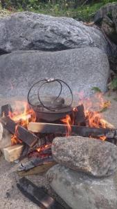 post-10401-0-85979400-1432153549_thumb.j