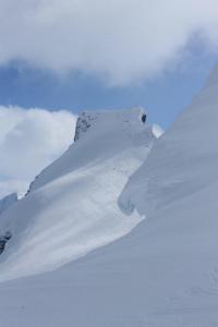 post-10858-0-34599400-1431206042_thumb.j