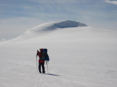 post-10858-0-71046800-1431206439_thumb.j