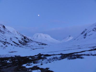 post-10858-0-74726800-1431206171_thumb.j