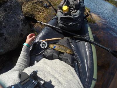 post-11041-0-57918000-1432471676_thumb.j