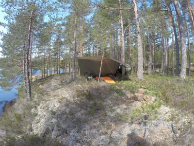 post-11041-0-68318800-1432471620_thumb.j