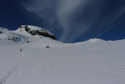 post-1108-0-45103600-1431375033_thumb.jp