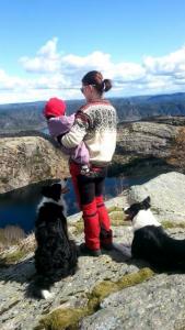 post-11179-0-10898900-1430846750_thumb.j