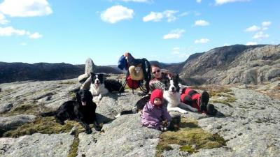 post-11179-0-82347000-1430846729_thumb.j