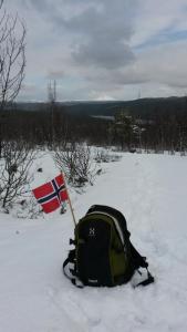 post-11843-0-44165400-1431970801_thumb.j