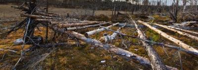 post-12278-0-14659700-1430690949_thumb.j