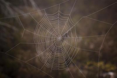 post-12278-0-47048600-1430694424_thumb.j