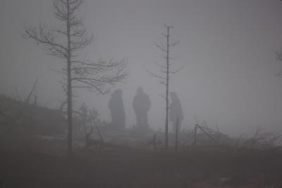 post-12278-0-67096000-1430693940_thumb.j