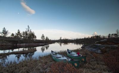 post-12278-0-86873800-1430692473_thumb.j