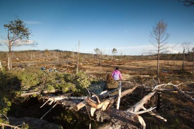 post-12278-0-98518900-1430690961_thumb.j