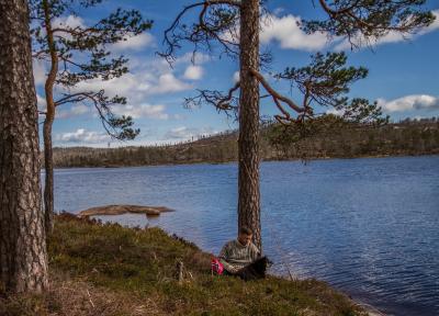 post-13043-0-75982100-1432076161_thumb.j