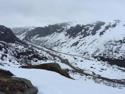 post-13206-0-20191300-1432111752_thumb.j