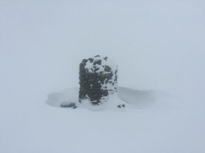 post-13206-0-25355500-1432997292_thumb.j