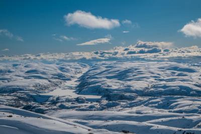 post-13206-0-49585600-1430513620_thumb.j