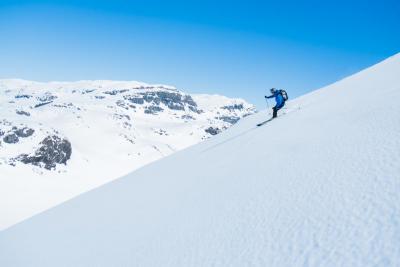 post-13206-0-56908800-1431674989_thumb.j