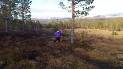 post-13312-0-69716600-1432123035_thumb.j