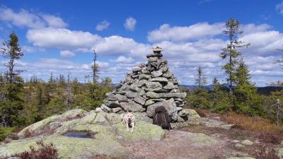 post-13572-0-58618500-1432417143_thumb.j