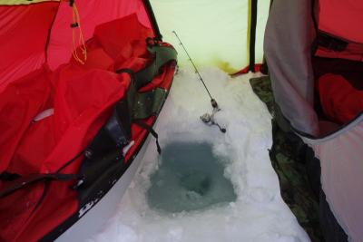 post-14504-0-21157200-1431689967_thumb.j