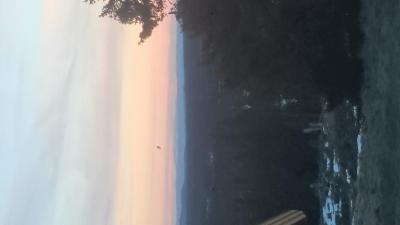 post-14911-0-70989000-1431802714_thumb.j