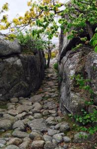 post-14924-0-30895200-1432309792_thumb.j