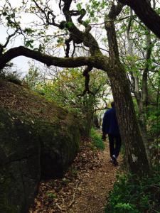 post-14924-0-33069500-1432309779_thumb.j