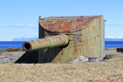 post-1580-0-11527600-1431899421_thumb.jp