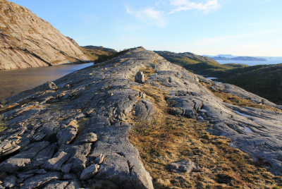 post-1580-0-68350700-1433106642_thumb.pn