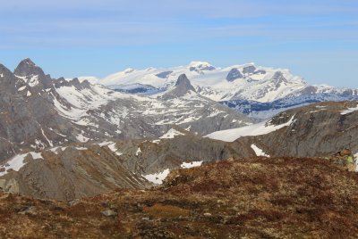 post-1580-0-95525400-1433106474_thumb.pn