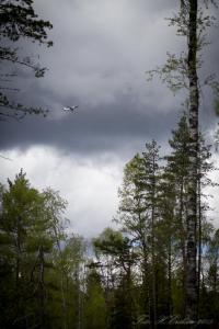 post-15860-0-41440300-1432563030_thumb.j