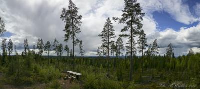 post-15860-0-68452000-1432563053_thumb.j