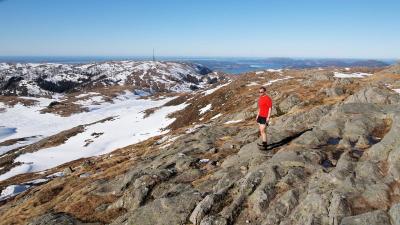 post-16230-0-42468600-1432373944_thumb.j