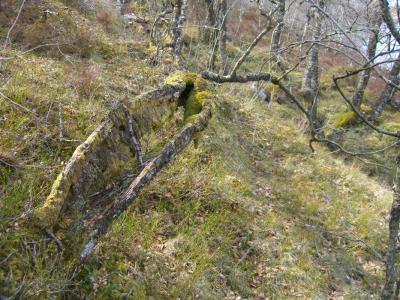 post-4220-0-23051300-1430669857_thumb.jp