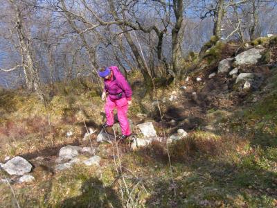 post-4220-0-58202400-1430669791_thumb.jp