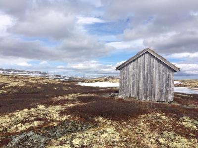 post-4444-0-35907300-1433065937_thumb.jp