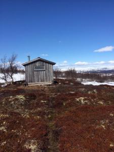 post-4444-0-52906400-1431186190_thumb.jp