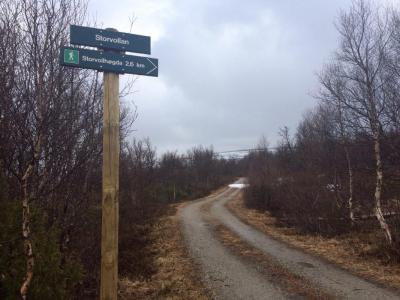 post-4444-0-93250200-1433099004_thumb.jp